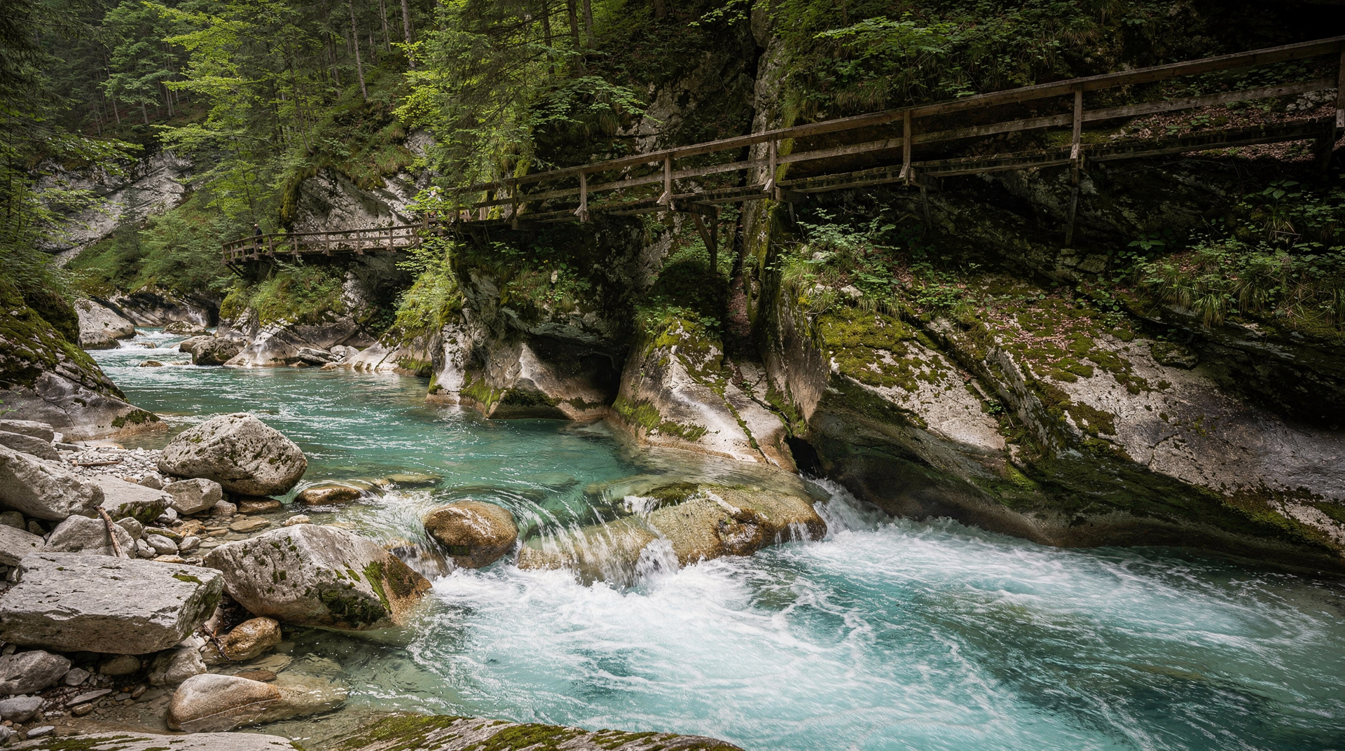 Gorges de Vintgar : les meilleures 90 minutes près de Bled
