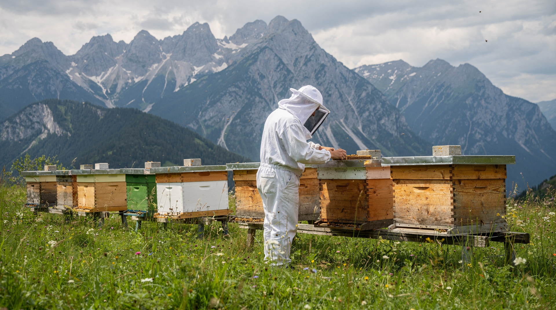 Imkerei in Slowenien: die lebende Tradition hinter den bemalten Bienenstockpaneelen — Slowenien hat die höchste Imkerdichte der Welt und 300-jährige bemalte Bienensto