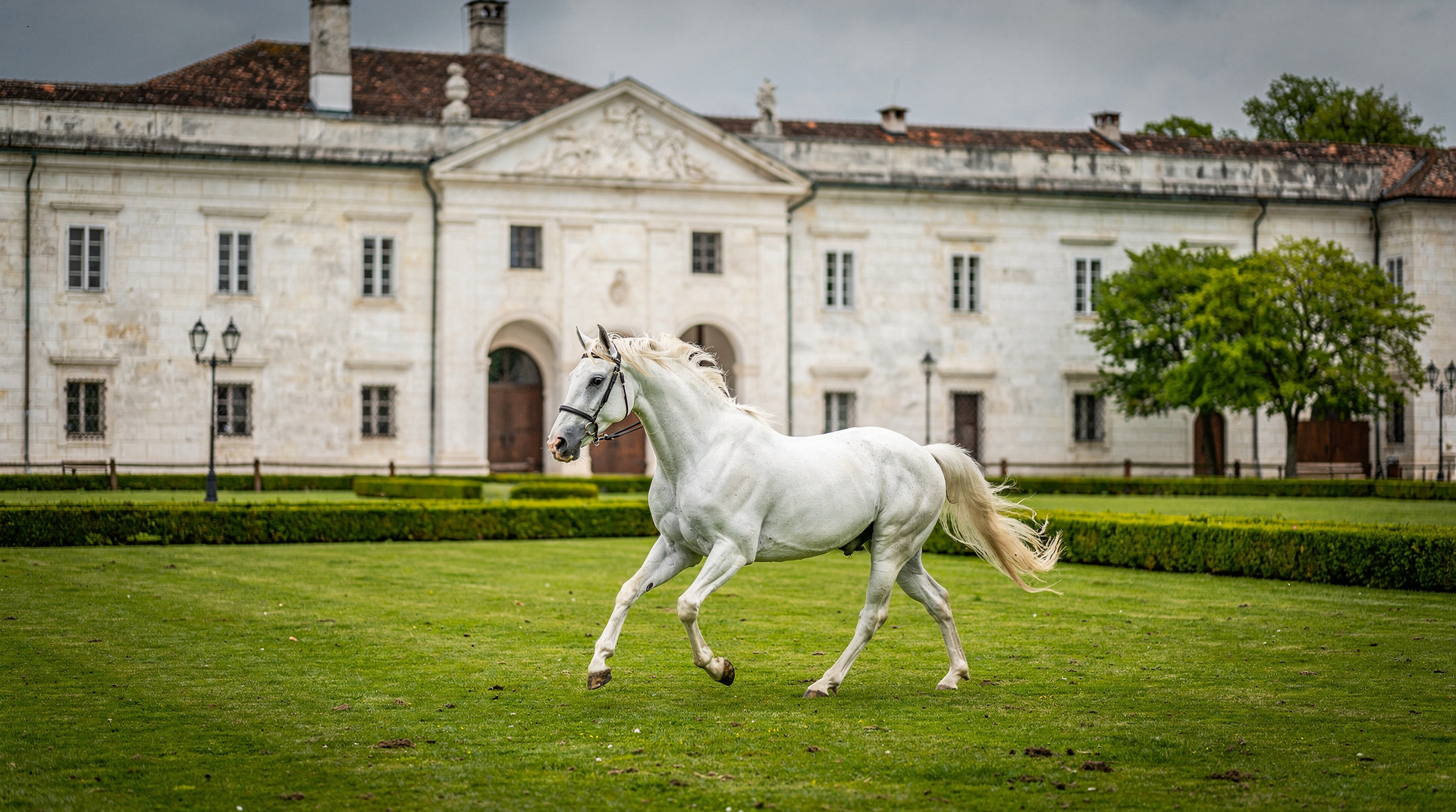 Gita giornaliera a Lipica da Ljubljana: visitare la patria del cavallo Lipizzano