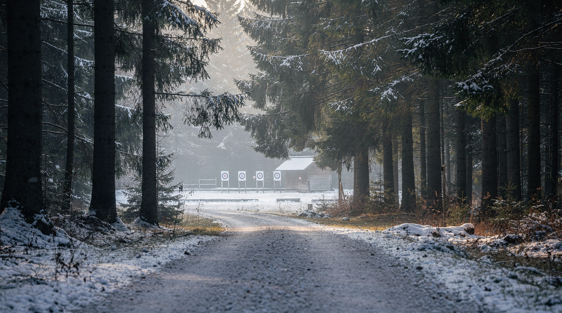 Pokljuka-Plateau: Bohinjhs stilles Hochland oberhalb der Baumgrenze — Vollständiger Reiseführer zum Pokljuka-Plateau oberhalb von Bohinj: beste Wander