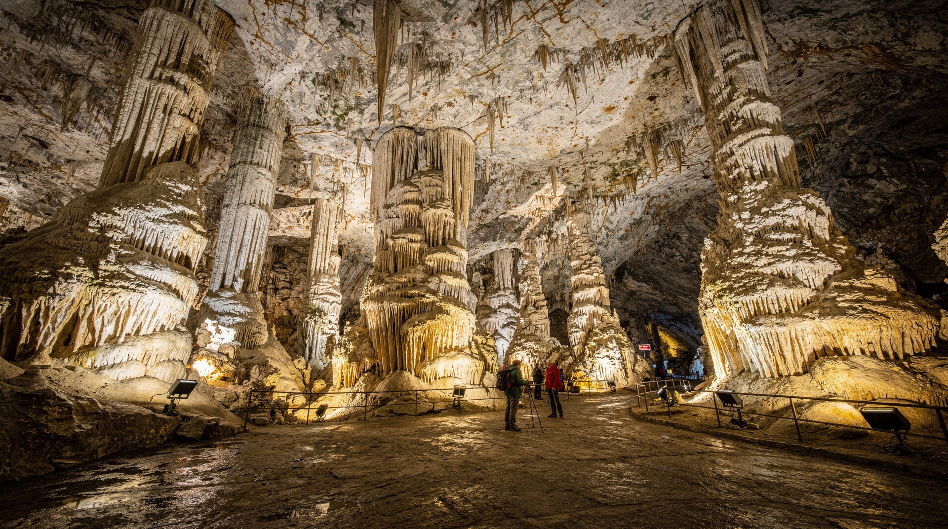 Guide de la grotte de Postojna : ce à quoi s'attendre, tarifs honnêtes et si ça vaut le coup