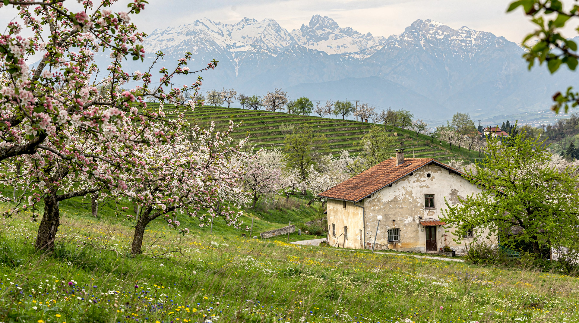 Slovenia in spring: what to expect in March, April and May